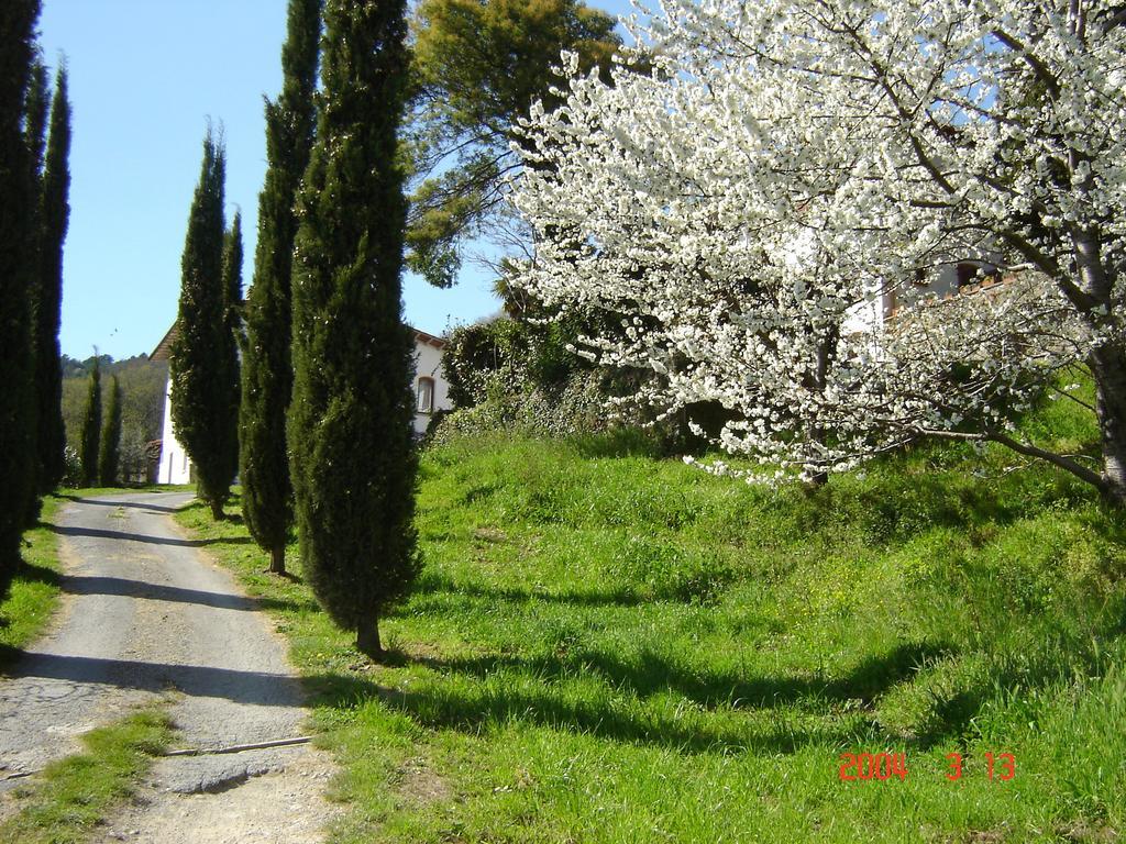 Podere"Sulle Soglie Del Bosco" Appartament And Rooms Pescia Exterior foto