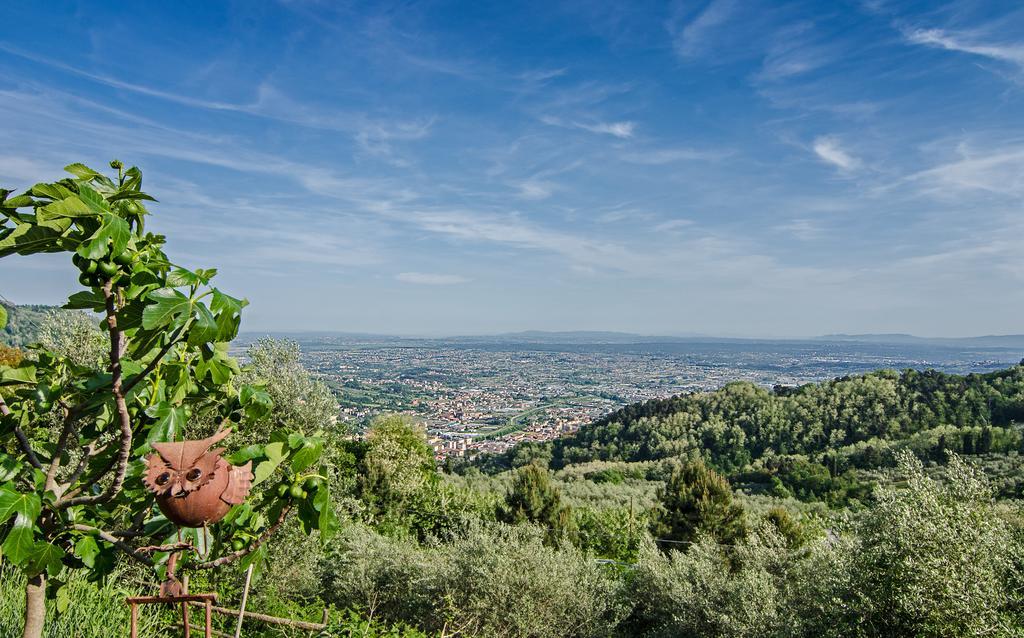 Podere"Sulle Soglie Del Bosco" Appartament And Rooms Pescia Exterior foto